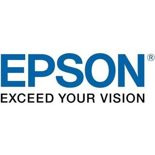 Epson UltraChrome GS3 T45L600 - Blækpatron Lys magenta