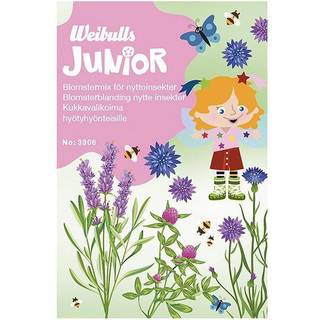 Blomsterfrø junior - Blomster mix til insekter*