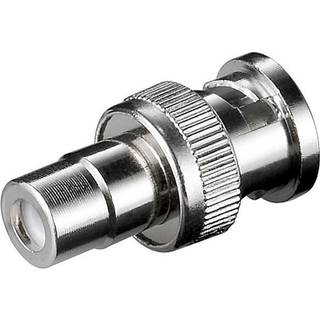 Phono RCA hun - BNC han adapter stik | PRIS-MATCH