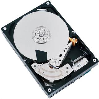 Promise Pegasus J2i - Harddisk - F40PDJ200000002