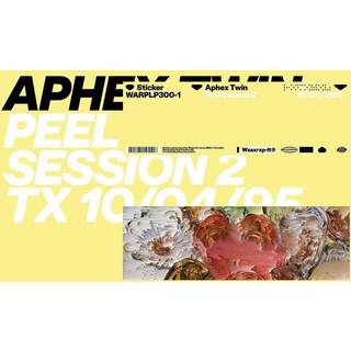 Aphex Twin - Peel Session 2 (Dl Card)