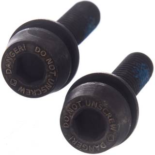Campagnolo Fastening screw 39mm
