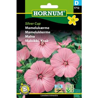 Mamelukærme Silver Cup - Lyserød mamelukærme - Blomsterfrø