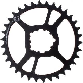 SRAM Chainring Direct Mount Singlespeed 34T