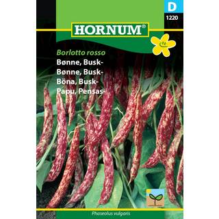 Buskbønne &quot;Borlotto Rosso&quot; Hvide / Røde Bønner - Grøntsagsfrø