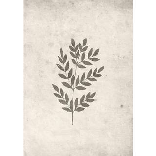 Springblad Poster  - Beige