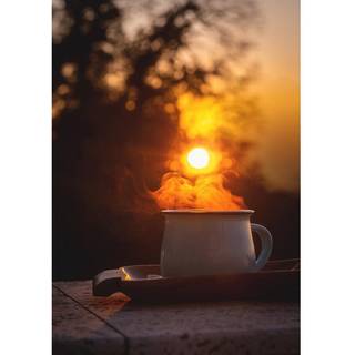 Venture Design Morning coffee poster 70 x 100 cm Orange/sort
