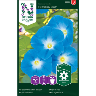 Pragtsnerle 'Heavenly Blue'
