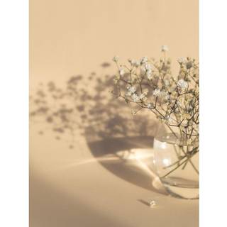 Venture Design White flowers poster 50 x 70 cm Beige
