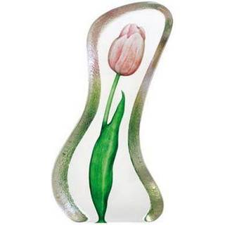 Tulipan Pink, Stor - Målerås