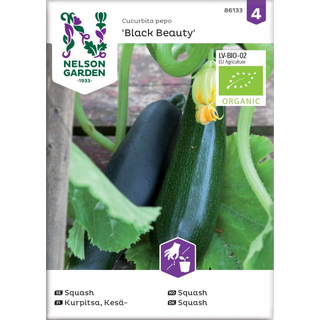 Squash 'Black Beauty' Øko