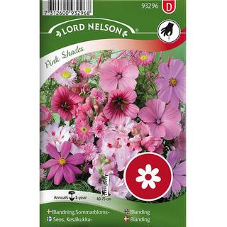 Sommerblomster Rosa Mix