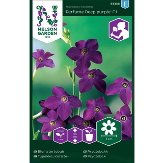 Prydtobak 'Perfume Deep purple' F1