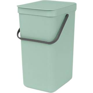 Brabantia Affaldsspand Sort & Go 16L Jade green