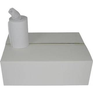 Aftørringspapir Ø13Mmx20Cmx120M Dtl