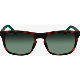 Lacoste Mand L956S 230 Solbriller Plast Havana Grøn Firkantet Normal Skygge