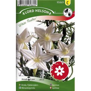 Pragtsnerle 'White Feather'