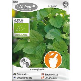 Citronmelisse 'Lemona' Øko