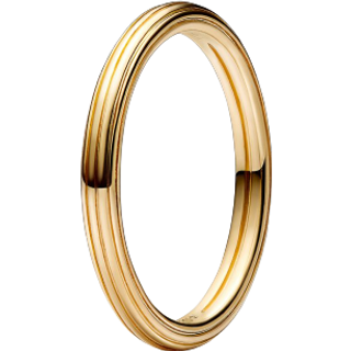 Pandora 169591C00 Damenring Goldfarben