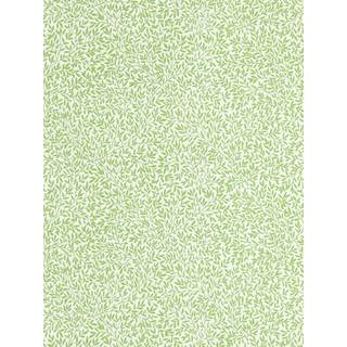 Standen Leaf Green - 217066