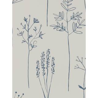 Stipa - 112019