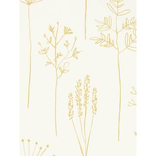 Stipa - 112021