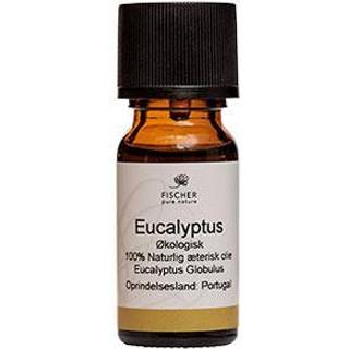 Eucalyptusolie æterisk Økologisk - 10 ml - Fischer Pure Nature