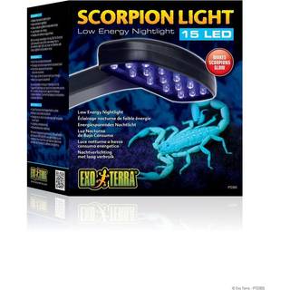 EXOTERRA - Scorpion Light 2W - (205.2900)