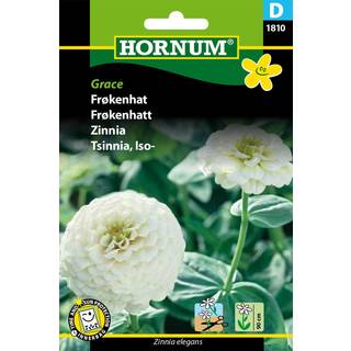 Frøkenhat Hvid - Grace - Smuk hvid frøkenhat - Blomsterfrø