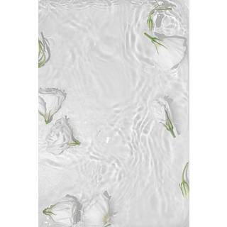 Venture Design White roses poster 21 x 30 cm Hvid