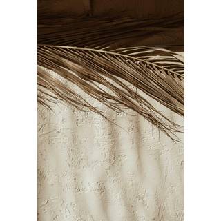 Venture Design Dessert poster 50 x 70 cm Beige