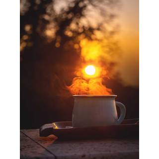 Venture Design Morning coffee poster 30 x 40 cm Orange/sort