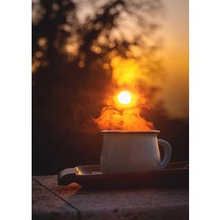 Venture Design Morning coffee poster 50 x 70 cm Orange/sort