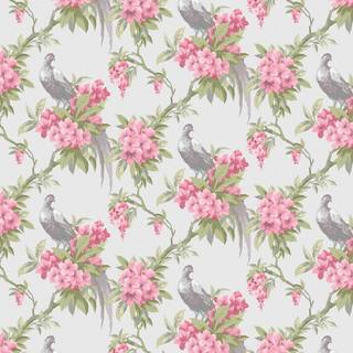 Crown Wallpaper Golden Pheasant M1664