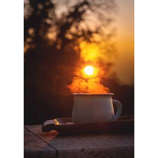 Venture Design Morning coffee poster 21 x 30 cm Orange/sort