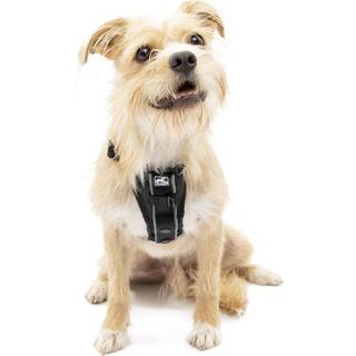 KURGO Tru-fit Sele Smart - Sort - S