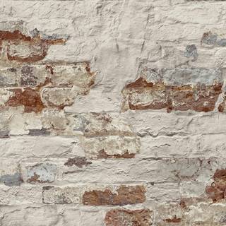 Malika - WL3302