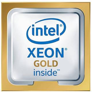Dell Xeon Gold 6242 Processor 2,8 Ghz 22 Mb 2.8ghz Lga 3647 (socket P) Processor