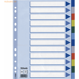 Esselte Faneblad | A4 | Plast | 12 faner