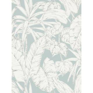 Parlour Palm - 112025