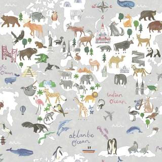 Albany Wallpaper Animal Maps 13252