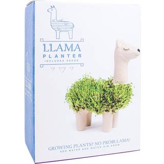 Gift Republic Planter Llama With Seeds - Diverse