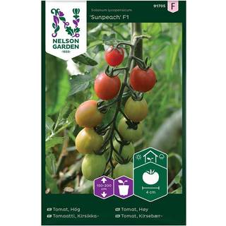Kirsebærtomat 'Sunpeach' F1