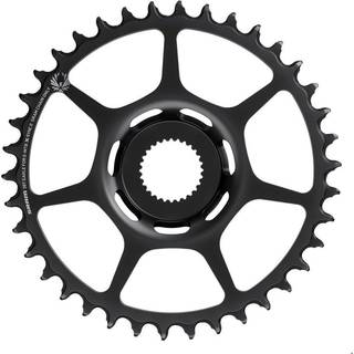 Drev SRAM DM (Bosch) 1x12-Speed Stål 16T sort