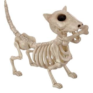 Skelett Hund mit Knochen 27cm