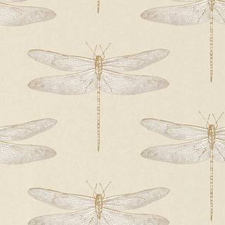 Demoiselle - HGAT111239