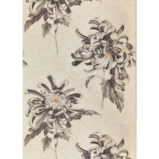 Evelyn - ZTOT312734