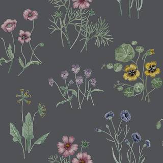 Maj - Dark Grey