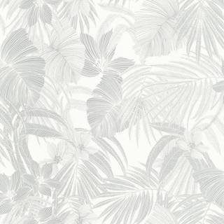 Malika - A51303