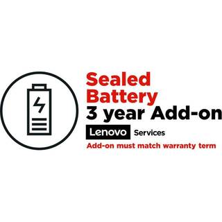 ThinkPlus ePac 3YR Sealed Battery